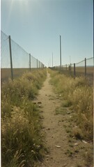 Rural Pathway Between Fences Under Clear Sky