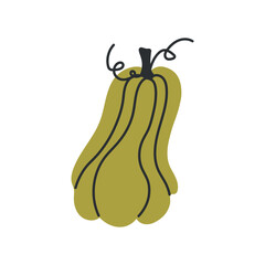 Hand Drawn Yellow Squash Illustration Isolated on White