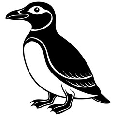 Fototapeta premium black and white bird