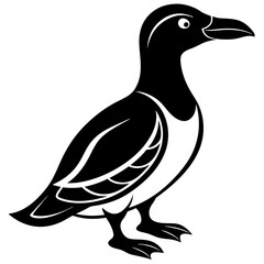 vector illustration of duck
