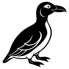 dove of peace