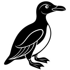 Fototapeta premium vector illustration of a bird
