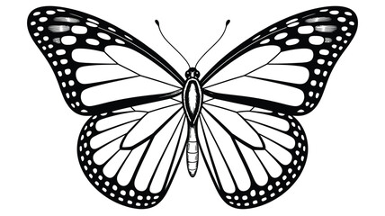 Detailed black and white line art drawing of a monarch butterfly