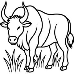 Buffalo Grass line art vector