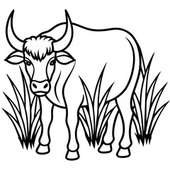 Buffalo Grass line art vector