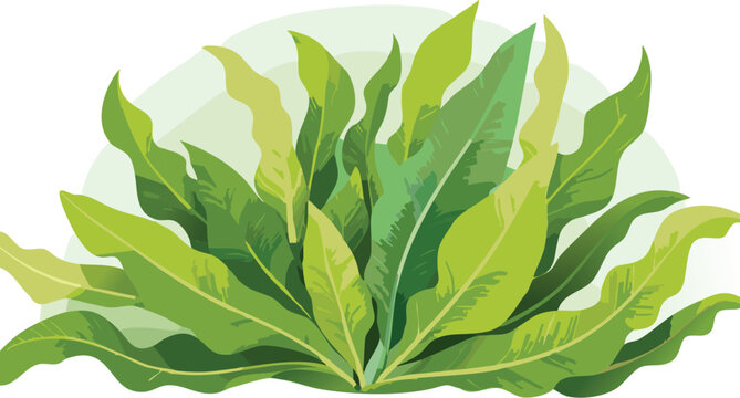green leaves plant, nature, foliage, simple clip art preview
