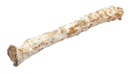 Horseradish root whole background isolated on a Transparent background, PNG file.