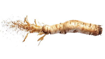 Horseradish root whole background isolated on a Transparent background, PNG file.