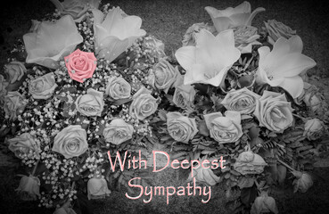 Condolence card with text: With Deepest Sympathy. Two funeral bouquets of roses and lilies. Converted largely to black and white. One pink rose. Memorial flowers at the cemetery. 
