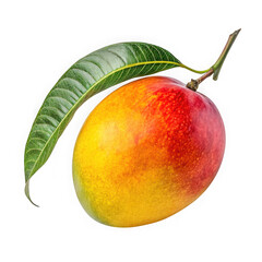 Vibrant ripe mango with a green leaf and stem isolated on transparent background