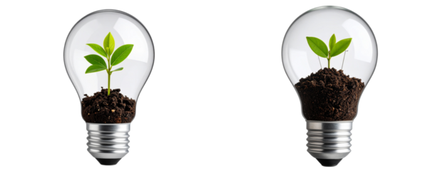  Eco Concept: Green Plant Growing Inside Clear Light Bulb with Soil, Isolated on Transparent Background PNG