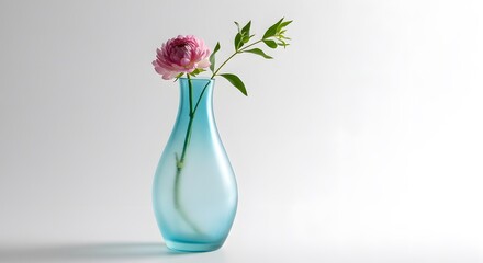 A single pink ranunculus flower with green leaves in a light blue glass vase against a white background.