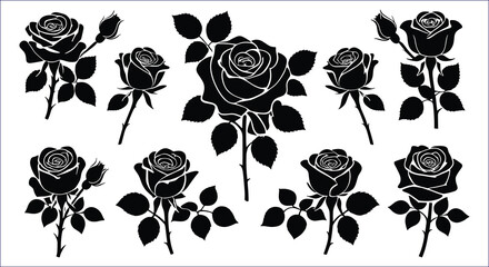Black Rose Silhouettes Various Sizes White Background flower