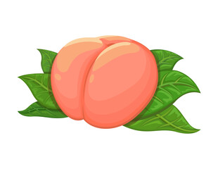 Peach On Leaf Cartoon Illustration Cartoon Illustration Vector