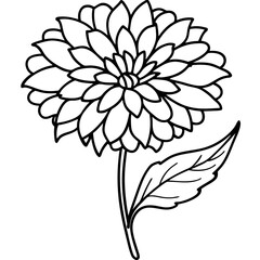 Calendula line art vector