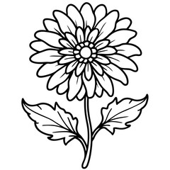 Calendula line art vector