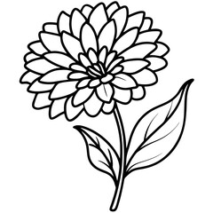Calendula line art vector