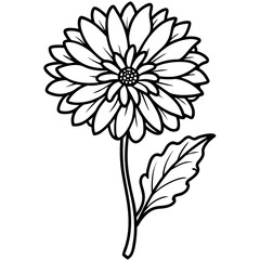 Calendula line art vector