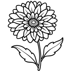 Calendula line art vector