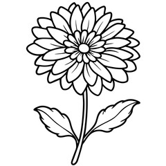 Calendula line art vector