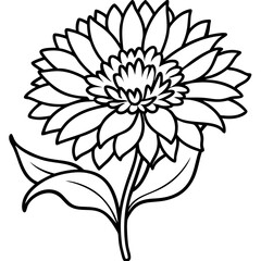 Calendula line art vector