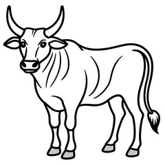 Zebu Animal Line Art Vector