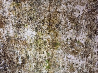 Complex Texture of a Decaying Weathered Surface