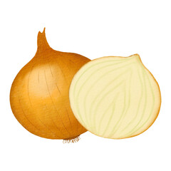 Onion