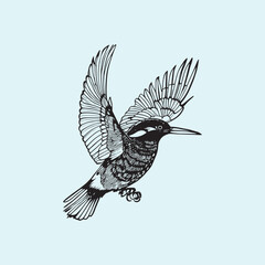 Fototapeta premium Wildlife vector silhouette image of a Hummingbird flying flat icon design, black bold