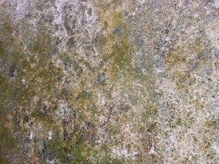 Natural Camouflage Pattern of a Grungy Surface