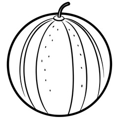 Cantaloupe line art vector