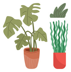 Monstera plant in terracotta pot, leafy plant in minimalist container, and tall wavy plant in red pot. Ideal for nature, home decor, gardening, modern interiors, minimalism, office spaces simple