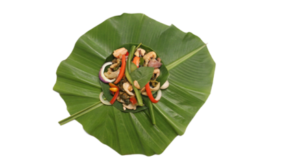 Holy Basil isolated transparent background