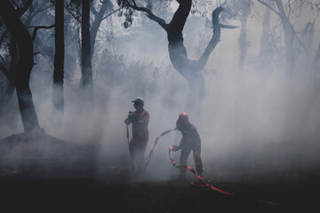 Wildfire Suppression and Cooling Efforts in Smoke-Filled Woodland