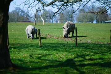 Fototapeta premium selection of photos i took.