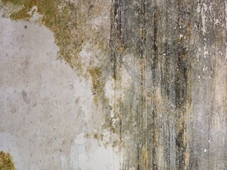 Vertical Grime Streaks on a Weathered Surface