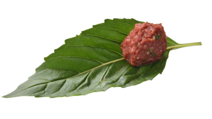 Holy Basil isolated transparent background