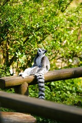 Selection of photos i took