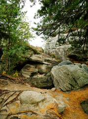 Landscape with rocks and boulders with green trees on a clear sunny day. Flora floristry landscaping plants flowers.