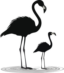 Elegant Flamingo Birds Silhouette Vector EPS Adult and Chick in Water, Perfect for Nature Designs