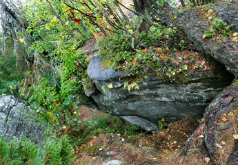 Landscape with rocks and boulders with green trees on a clear sunny day. Flora floristry landscaping plants flowers.