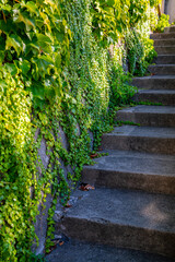 Staircase in the coastal town of Positano on the Amalfi Coast (Italy). Steep and narrow side street...
