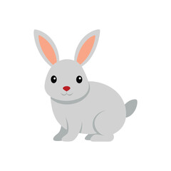 Fototapeta premium white rabbit isolated on white