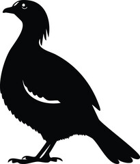 Elegant Birds Silhouette Vector EPS Sandgrouse in Puffed Feathers - Downloadable Design