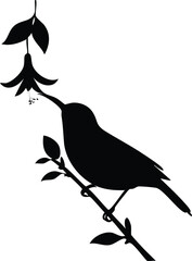 Elegant Bird Silhouette Vector EPS Sunbird on a Flower, Birds Silhouette Design for Print and Web