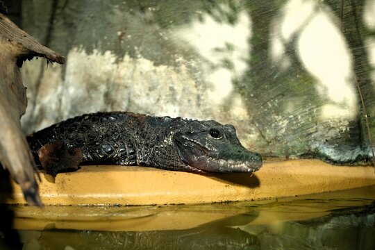 Selection of photos i took