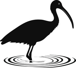 A black-crowned crane and black-crowned night heron perch on a branch, showcasing their striking black and white feathers amidst nature's wildlife