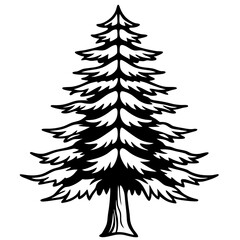 Obraz premium Cedar line art vector