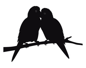 A Simple Yet Elegant Silhouette of Two Budgerigars Perched Close Together on a Branch Showing Their Affectionate Nature This Artwork Captures a Moment of Peace and Connection Between the Small Birds