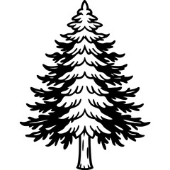 Cedar line art vector